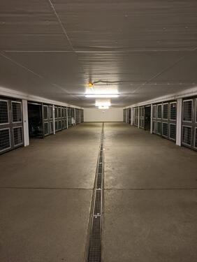 Foto - andere in München zur Miete