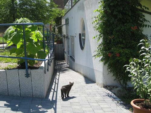 Foto - Etagenwohnung in Eichstetten am Kaiserstuhl