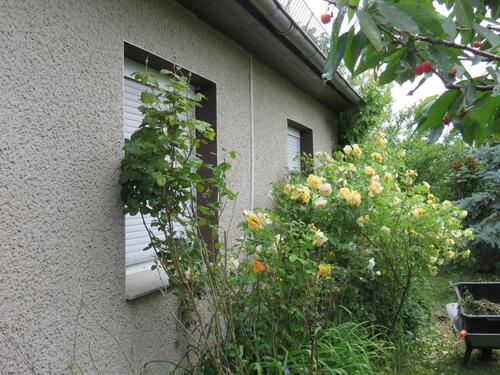 Foto - 6 Zimmer Einfamilienhaus zum Kaufen in Karlsburg