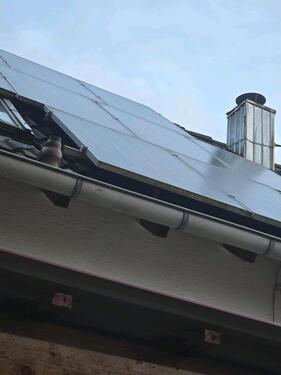 Foto - 5 Zimmer Einfamilienhaus zum Kaufen in Medard