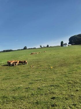 Foto - 3 Zimmer Erdgeschoßwohnung zur Miete in Lindlar