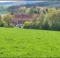 3 - Zimmer Wohnung 01.10. ca 70 qm Fredelsloh Moringen Tönnieshof