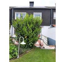 Reihenmittelhaus 116qm mit Einbauküche und Garage. - Recklinghausen Berghausen
