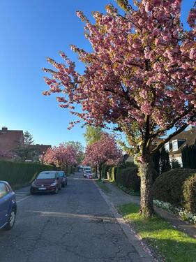 Foto - 2 befristete WG Zimmer mit ganzer Wohnung, gute S-Bahn Anbindung