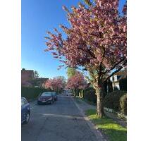 2 befristete WG Zimmer mit ganzer Wohnung, gute S-Bahn Anbindung - Hamburg Wandsbek