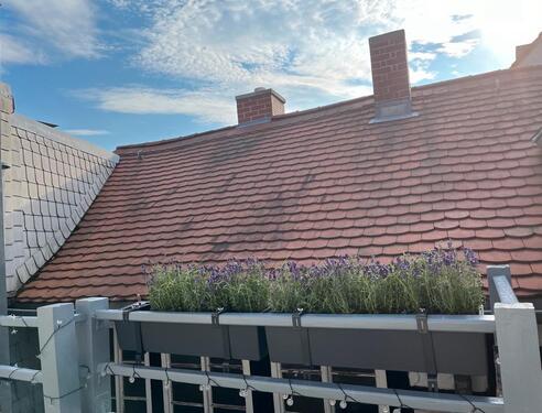 Foto - 10 Zimmer Reihenhaus in Eisenberg