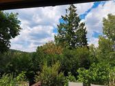Foto - Einfamilienhaus in Wachenheim an der Weinstraße