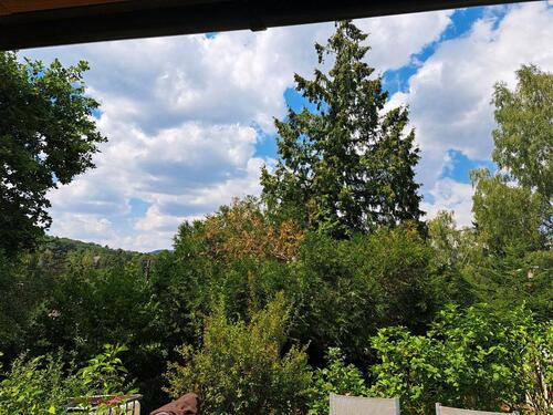 Foto - Einfamilienhaus in Wachenheim an der Weinstraße