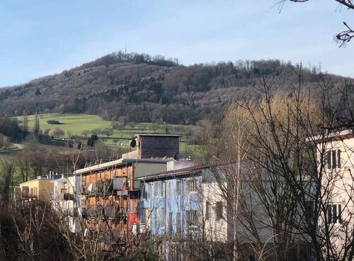 Foto - 2 Zimmer Etagenwohnung in Freiburg im Breisgau