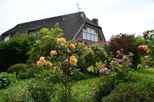 Foto - 7 Zimmer Einfamilienhaus in Cadenberge
