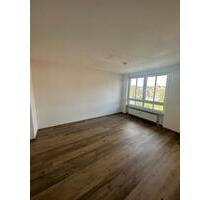 großzügige, helle 1-Zimmer-Wohnung - Eckersdorf