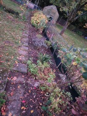 Foto - Grundstück in Braunschweig