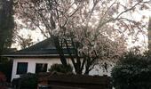 Foto - Einfamilienhaus zum Kaufen in Glinde