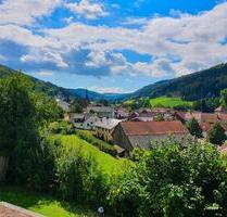 Wohnung mit traumhafter Aussicht - Buchen (Odenwald)