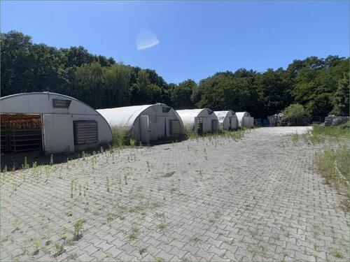 Foto - andere in Fehrbellin