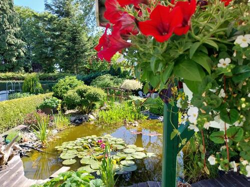 Foto - andere in Westerholt zur Miete