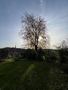 Foto - Renovierte 2-Zimmer-Wohnung mit Terasse in OverathImmekeppel