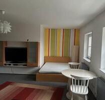 Schöne und helle 1Zimmer Wohnung ab sofort zu vermieten - Eberhardzell