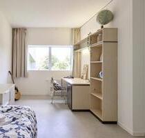 Möbelierte 1-Zimmer-Wohnung in Lindenholzhausen zu vermieten - Limburg an der Lahn Offheim