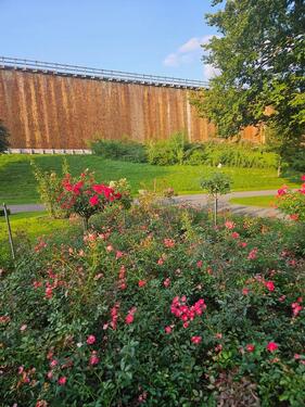 Foto - Wunderschöne, möblierte Wohnung an Einzelperson in 1A Lage