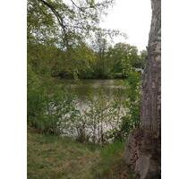 Gemütliches Mobilheim - 39.150,00&nbsp;EUR Kaufpreis, ca.&nbsp; 40,00&nbsp;m&sup2; in Bispingen (PLZ: 29646)