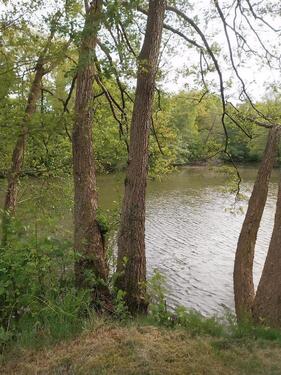 Foto - 2 Zimmer Einfamilienhaus zum Kaufen in Bispingen