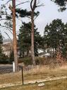 Foto - Bungalow auf Pachtland - 28.000,00 EUR Kaufpreis,