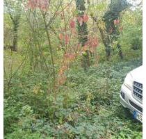 Waldgrundstück Forst in HS Kempen & Hückelhoven Ratheim - Heinsberg