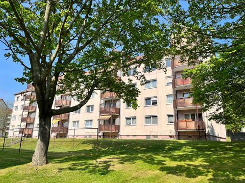 Foto - Sommer auf Balkonien in Colditz.