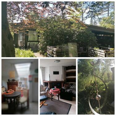 Foto - 2 Zimmer Bungalow in Rehburg-Loccum