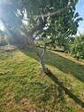 Foto - Schrebergarten in Wuppertal - 1.500,00 EUR Kaltmiete, ca.  0,00 m²