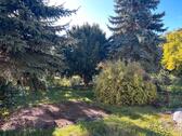 Foto - Einfamilienhaus in Helbra zum Kaufen
