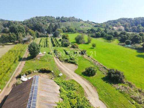 Foto - Ihr privater Weinberg auf 4.110 m²