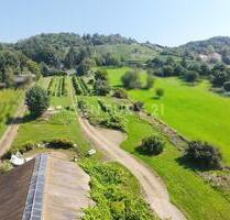 Ihr privater Weinberg auf 4.110 m² - Radebeul