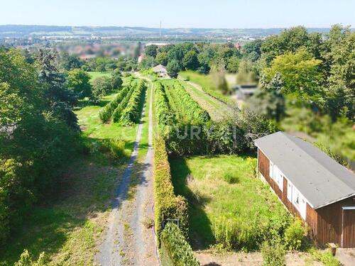 Foto - andere in Radebeul zur Miete