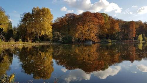Foto - Über den Wolken mit Blick auf den Rombergpark. Hier wird gelebt, nicht nur gewohnt!
