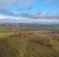 Provisionsfrei! Modernisierte 3,5ZKB. Sofort verfügbar. - Mainz Lerchenberg