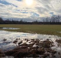 Grünland zwischen Bachlauf und Ortsrand - 1.755m² in Groß-Steinheim - Hanau