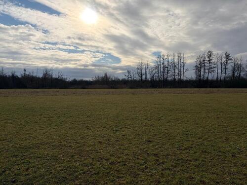 Foto - Grundst&uuml;ck in Hanau zur Miete