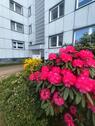 Foto - Wunderschöne 3 Zimmer Wohnung am Scharpenacken