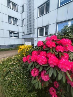 Foto - Wunderschöne 3 Zimmer Wohnung am Scharpenacken