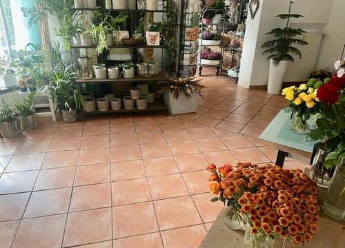 Foto - andere in Springe zur Miete