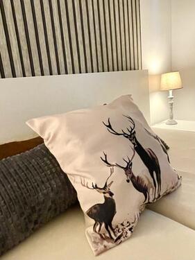 Foto - andere in Braunlage zur Miete