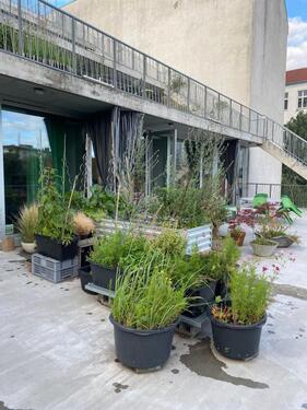 Foto - andere in Berlin