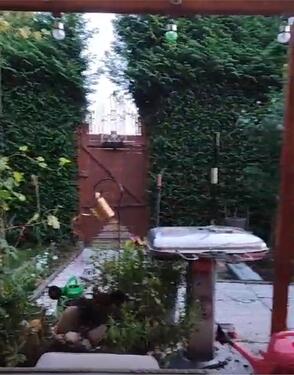 Foto - 5-Zimmer-Wohnung mit Garten gegen 4-Zimmer-Wohnung