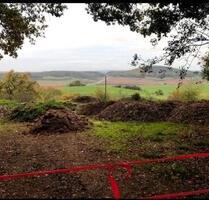 Landwirtschaftliches Grundstück Bergweiler - Wittlich