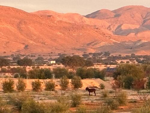 Foto - andere zur Miete in Essen