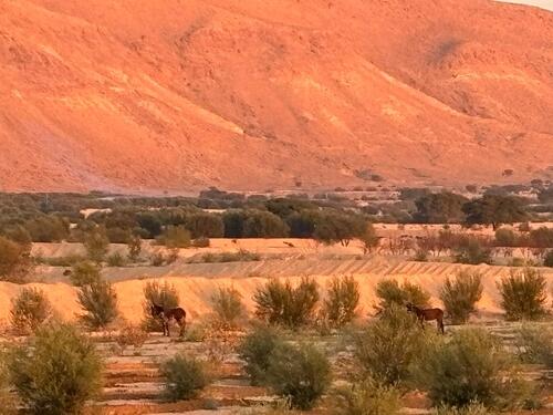 Foto - andere in Essen