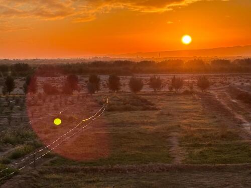 Foto - andere in Essen zur Miete