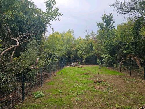 Foto - gartengrundstück - 100,00 EUR Kaltmiete, ca.  0,00 m²